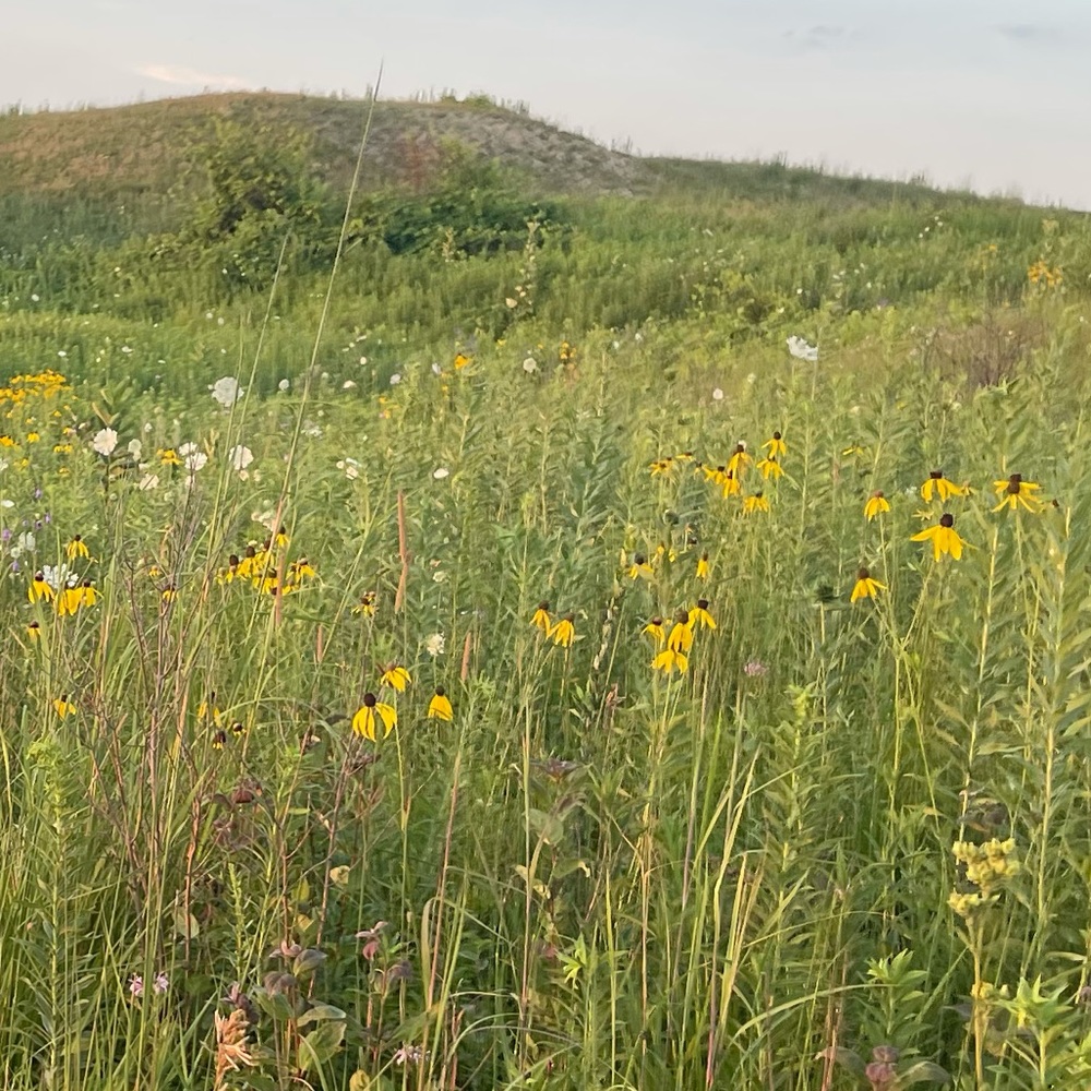 Meet your Posher, Leo